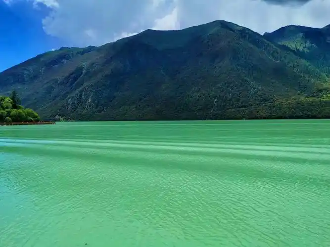 如此澄澈碧绿的湖水就在西藏