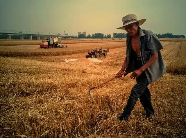 农村土地整改农民自愿退地每亩地给5万元你愿意吗