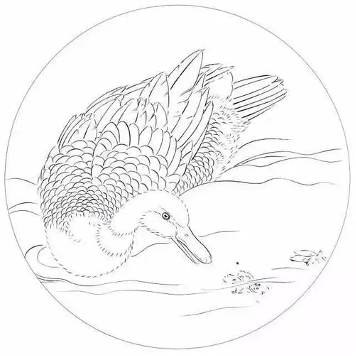 中国传统白描图谱――鸭子