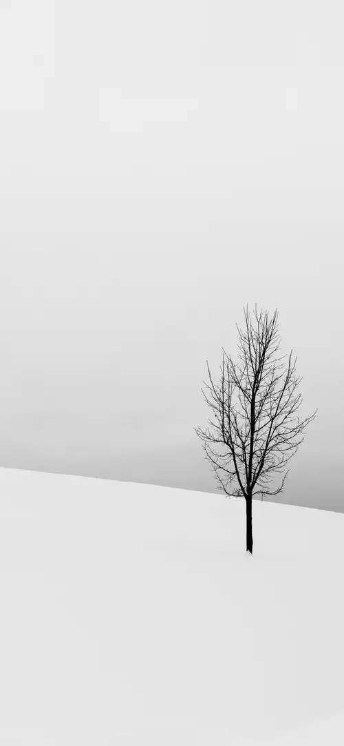 「木叶壁纸」358期:超清高清极简主义壁纸,有个性有格调