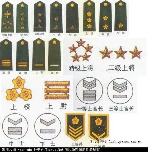 求国民革命军陆军军衔图片