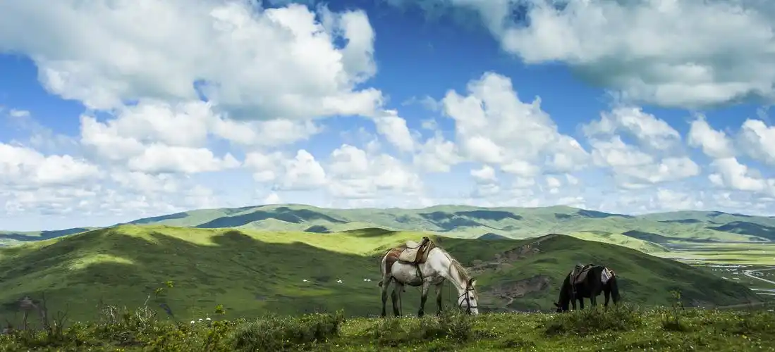 【广角拍大片】 若尔盖草原