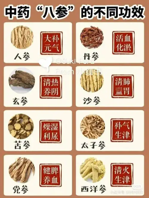 中药参的不同作用