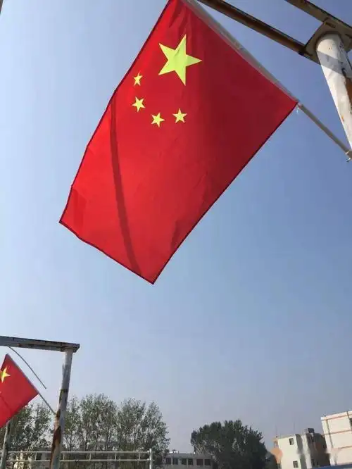 挂国旗迎双节飘起中国红涡阳乐行驾校