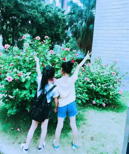 来张背影合照吧