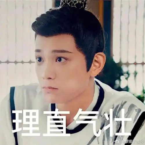 丁禹兮我之前的人生少了哪一环都不会是现在的我