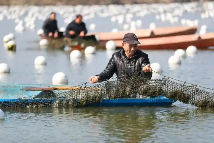 春风十里看"浙"里 有一幅赏春图送给你-浙江新闻-浙江在线