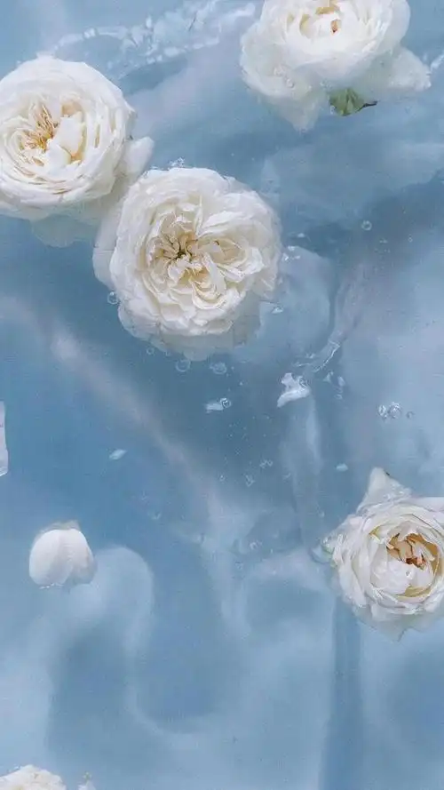 精选蓝色系壁纸,温柔的蓝色让人心情平静