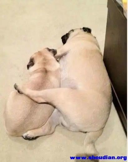 多少人睡觉喜欢这个姿势的