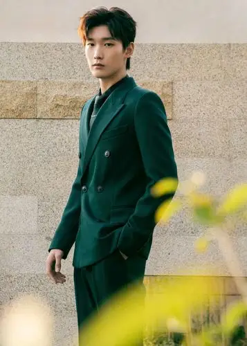 邢昭林墨绿西装绅士雅致 获年度潜力电视演员
