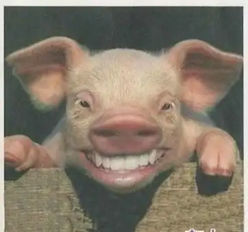 有些笑话以问题的形式呈现,如果你是第一次看到,我想