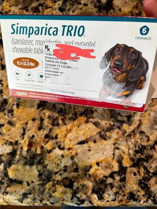 狗狗喂药好物分享