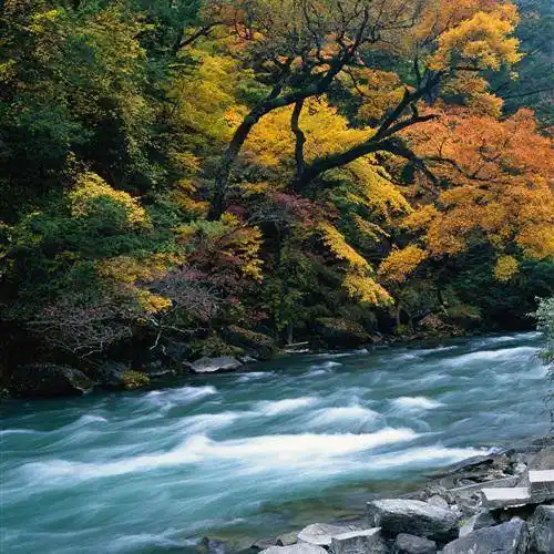 大自然的美干净治愈山水风景微信头像图片2022最新款_豪情_导读_整理