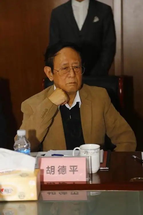 胡德平在光彩集团会见上海合作组织弗拉基米尔·诺罗夫秘书长一行