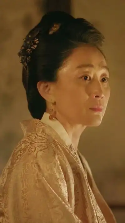 知否知否应是绿肥红瘦 平宁郡主 陈瑾