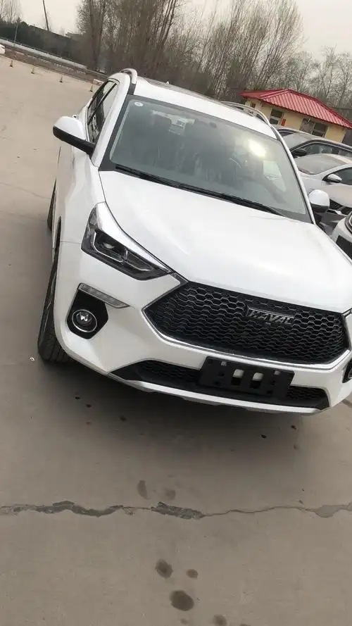 哈弗h6 coupe-喜提哈弗h6酷派一辆