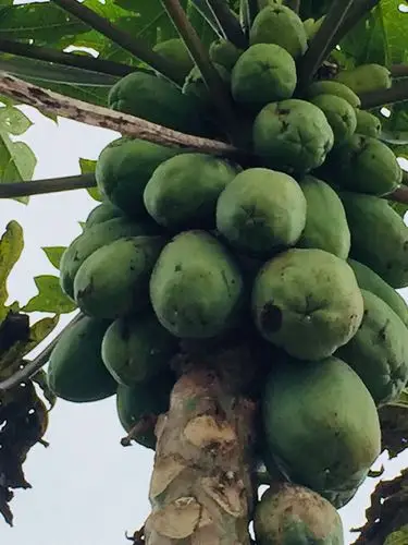 三亚之旅一一照片留下美好的回忆