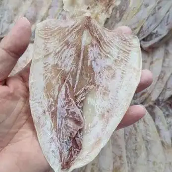 鱿鱼炭烧芥末烧烤酒店ktv专用全规格淡干鱿鱼干aaa