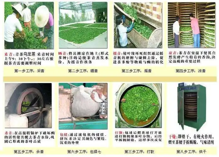 战"疫""茶"颜观色 写美篇茶文化博大精深,源远流长,就制作过程来看,都