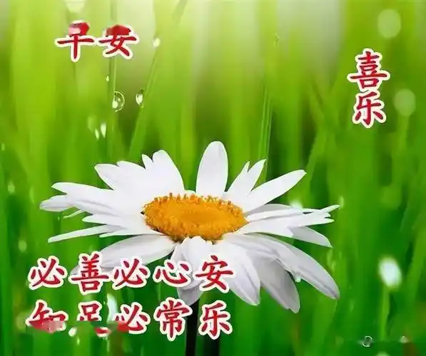 最新早上好表情精选天地有情人间有爱互相牵挂健康同行