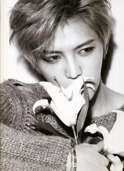 司机 销售_石先生求职简历_扎鲁特人才网-扎鲁特在线