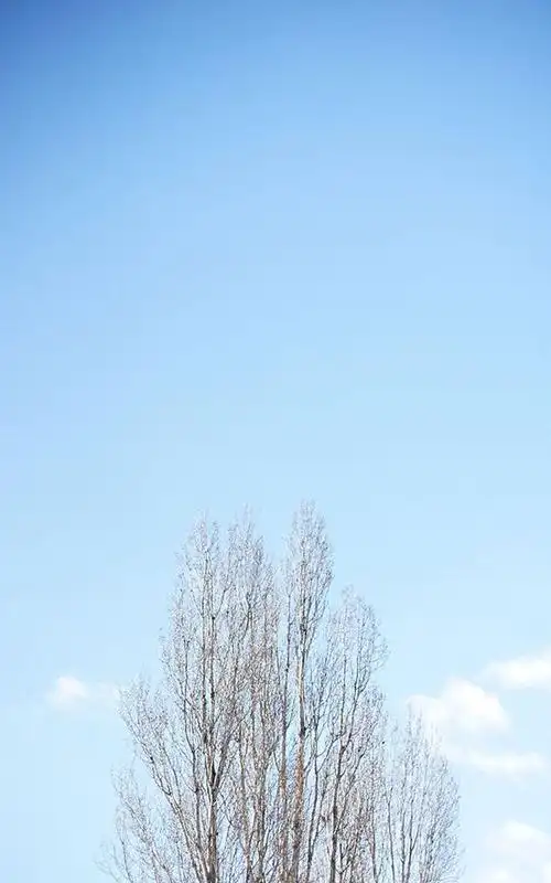 高清小清新风景美图手机锁屏壁纸下载