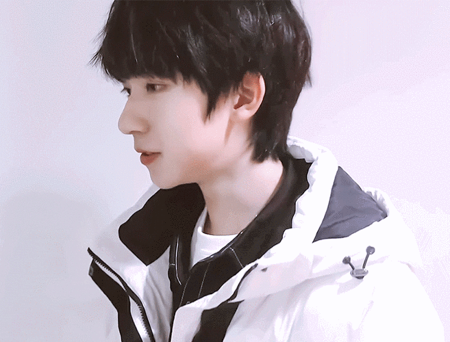 收集一些小贺贺峻霖的wink合集