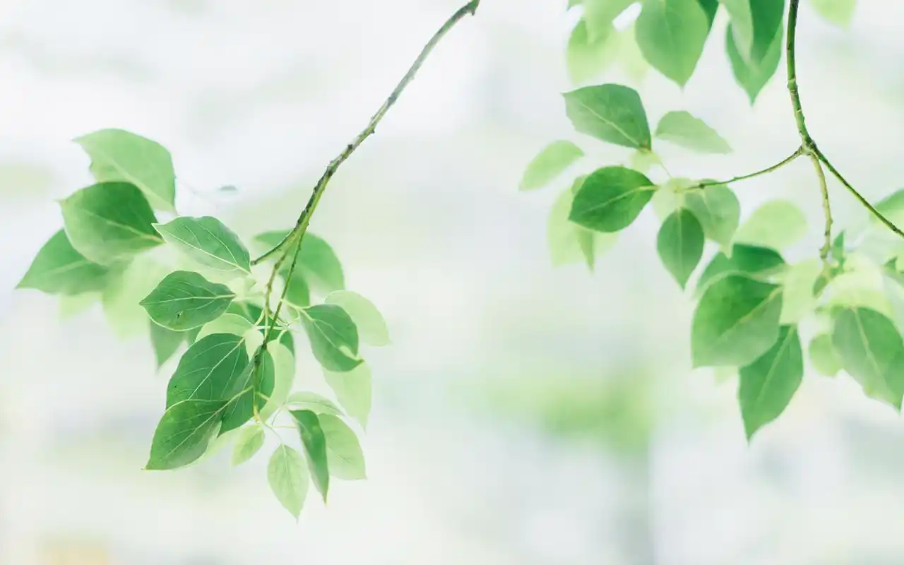 夏日小清新唯美高清图片壁纸
