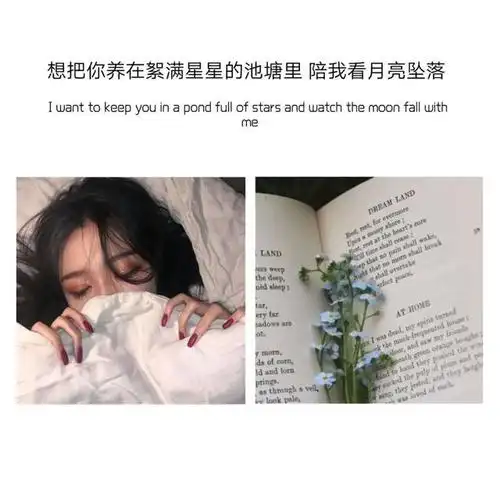 快手很火的爱情语录,看懂就是福气