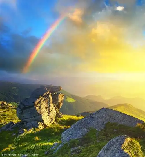 关键词:彩虹 自然景观 自然风景 雨后彩虹 植物 风景 风光 唯美 意境
