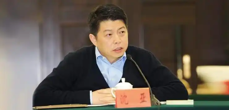 反垄断大旗飘向电商唯品会我活成了自己讨厌的样子