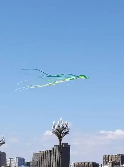 又是一年春来到,各色风筝满天飞