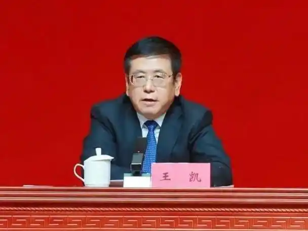 河南省委副书记,省长王凯兼任河南省委金融委主