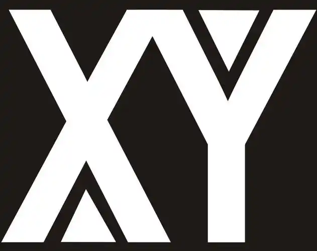 xy 商标公告