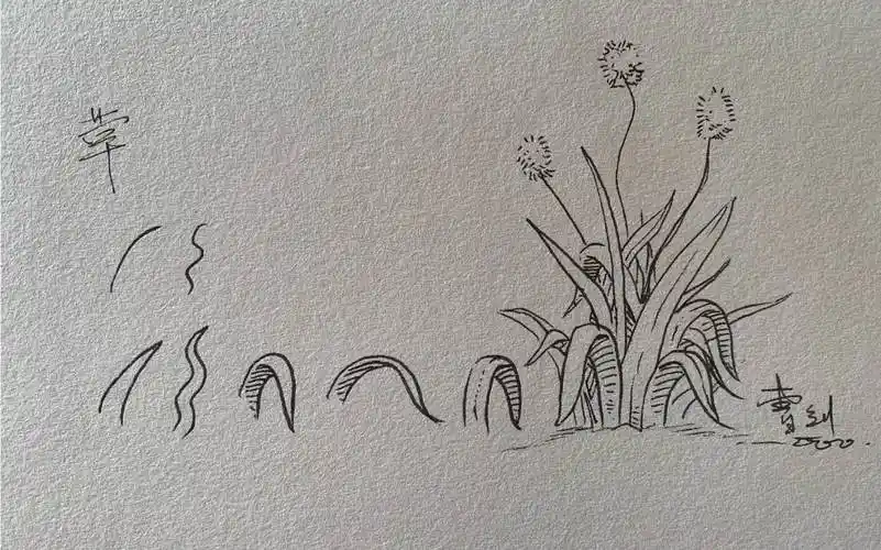 风景速写教你画草的画法