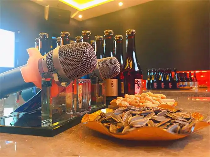 当然是一个良好的唱歌体验呀 多种k歌配置让你从"音痴"变"麦霸" 智能