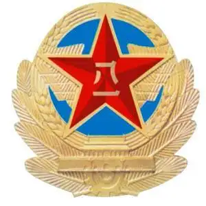 空军军徽|徽章制作 - 苍南县经天工艺品厂