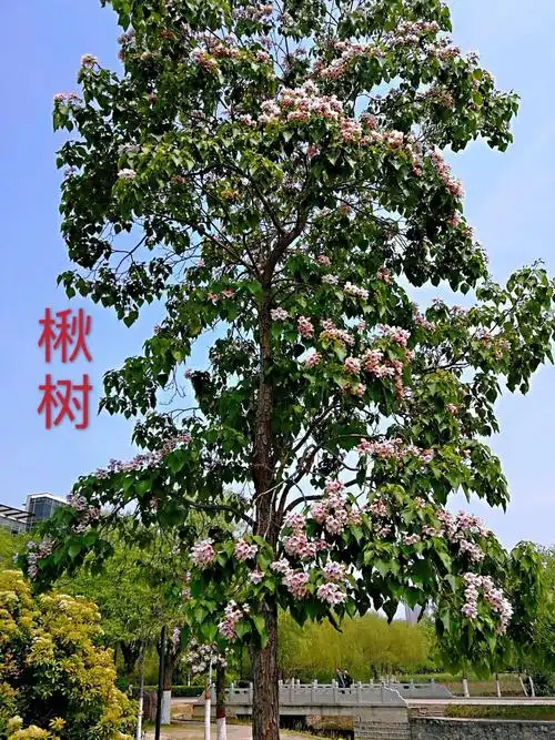 1200_1600竖版 竖屏