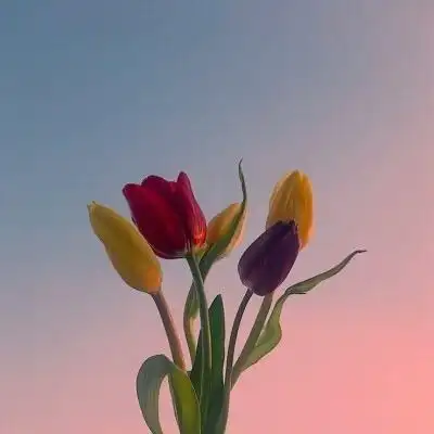 风景头像2022微信头像唯美清新图片意境想和你一起度过的夜晚qq头像