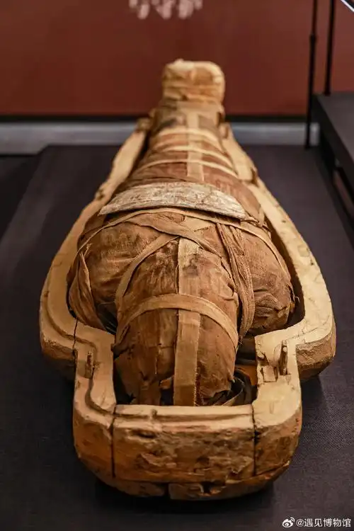 千年木乃伊首次在京开棺亮相,让你一探真身,展开一段神秘之旅!