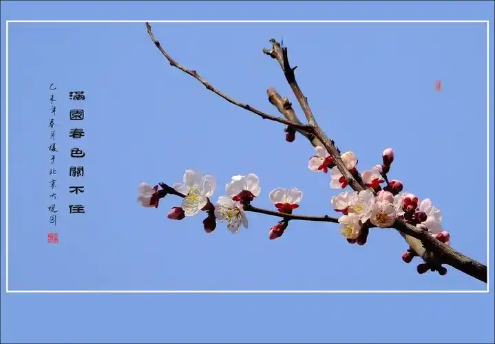 满园春色关不住,一枝红杏出墙来