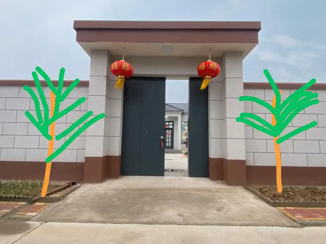 大门两侧种什么树好呢,求推荐 我的农村小院 院子里拾掇的差不多了 又