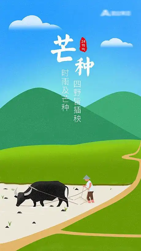 芒种节气移动端海报