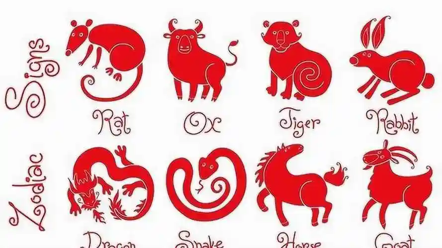 每个女生都想嫁为你推荐自动连播05:31属相婚配可信吗?