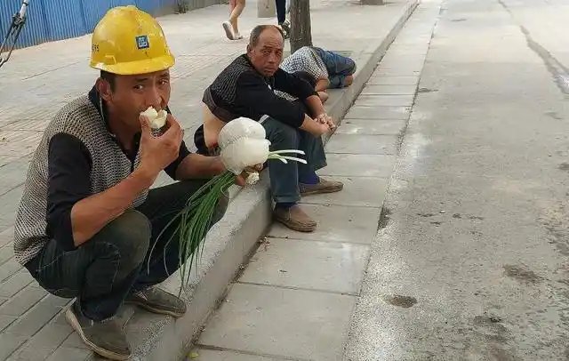 看着心酸郑州一农民工兄弟的午餐两个馒头两棵葱