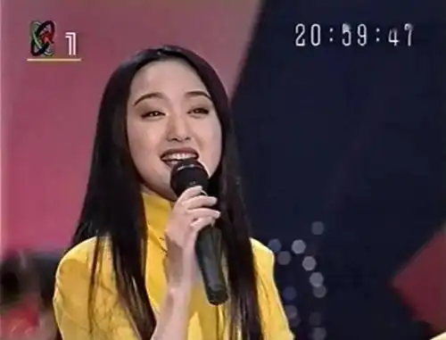 1995年的春晚有多牛附完整版视频