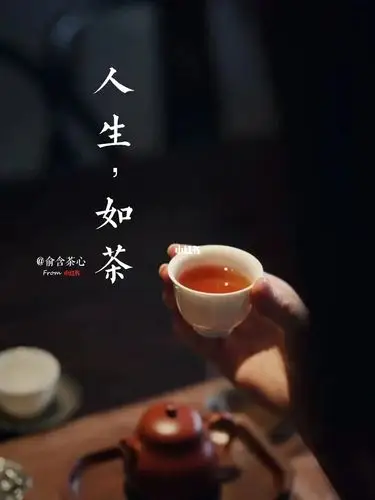 四时茶养丨人生如茶有苦痛才有馨香