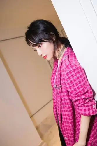 张嘉倪 温暖的弦 发布会