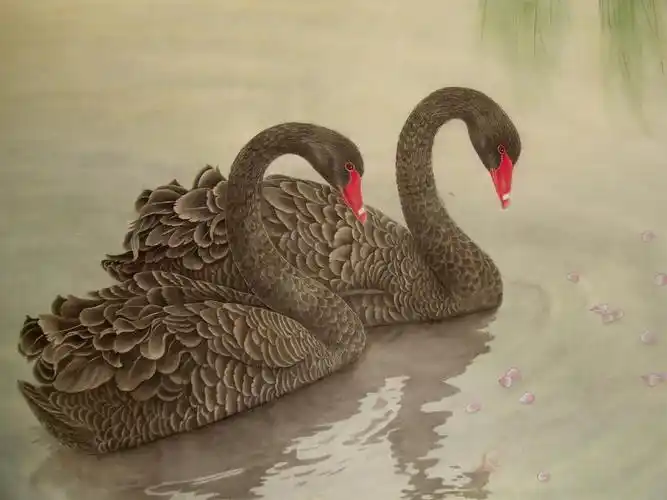 [原创]黑天鹅_书画长廊_博兴论坛_博兴在线