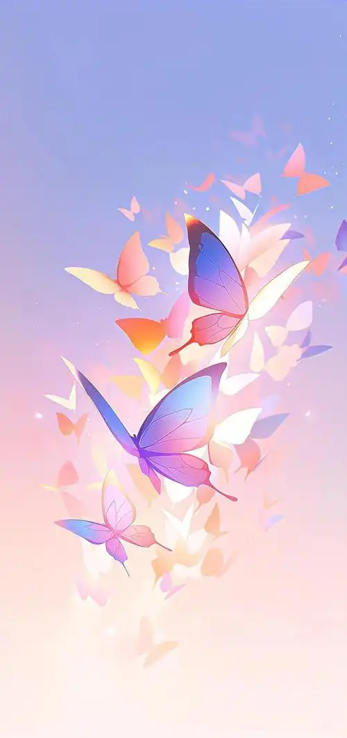 wallpaper壁纸我拥有的都是侥幸